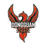 dongzuonvlanlogo